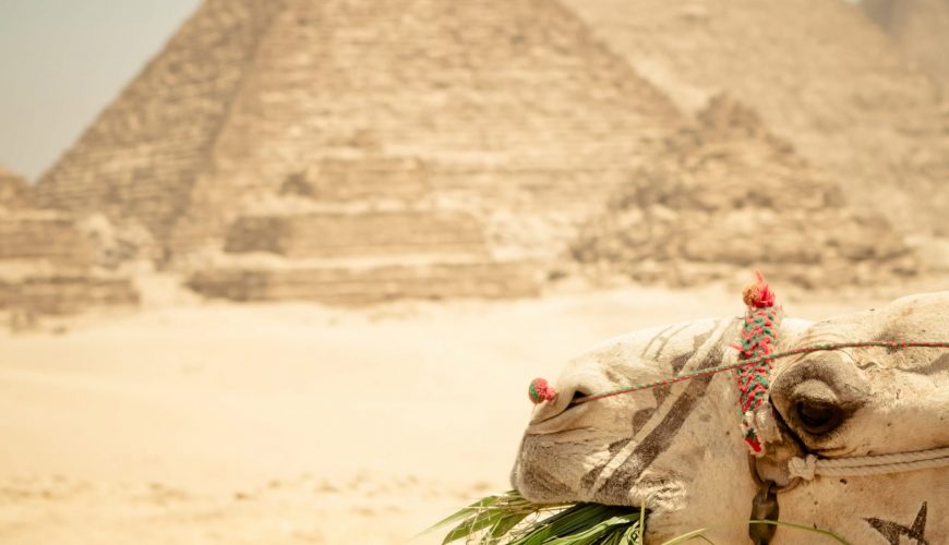 Giza pyramids, Saqqara & Dahshur Tour